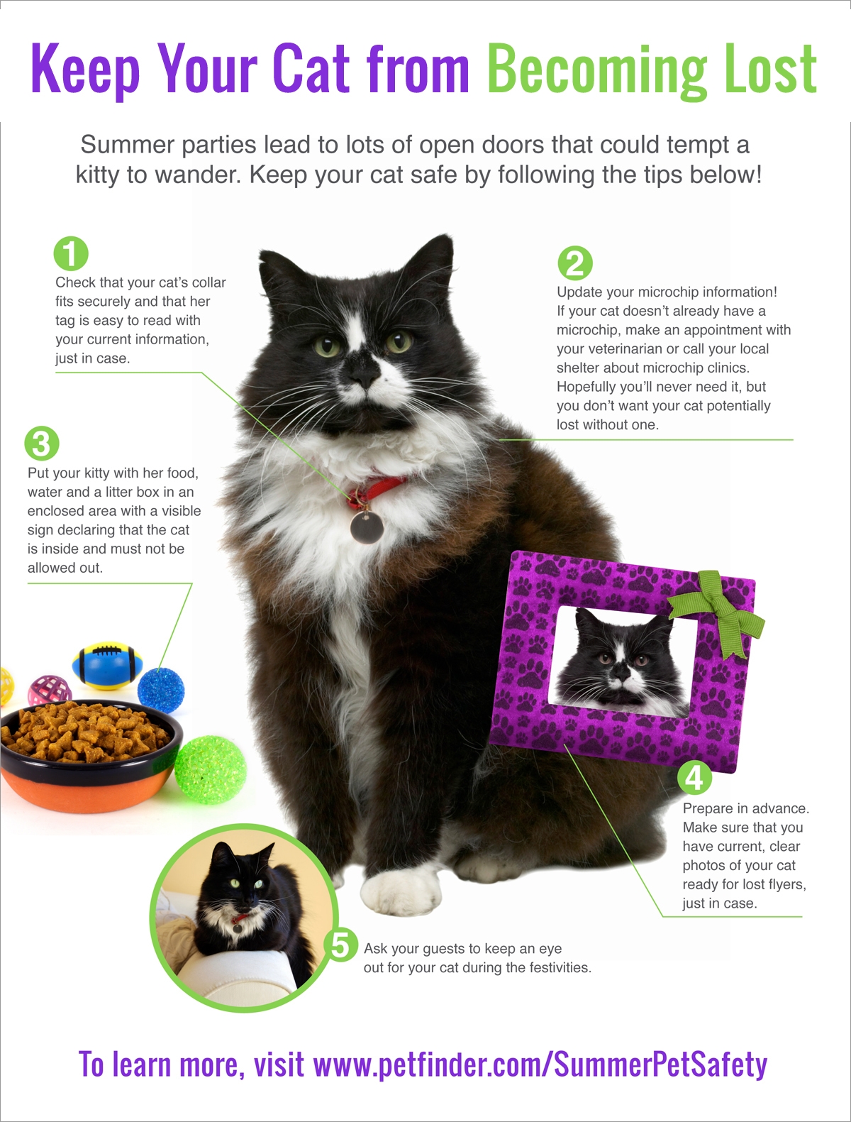  5-tips-to-keep-cat-from-becoming-lost。