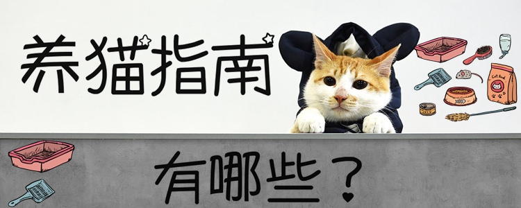 养猫指南有哪些