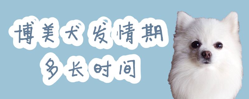 博美犬发情期多长时间